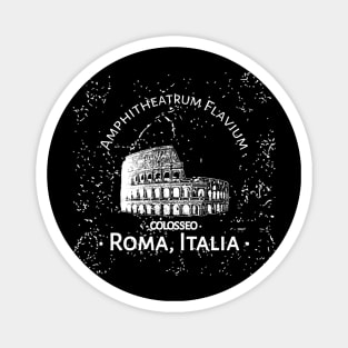 Colosseum Roma Italia Magnet